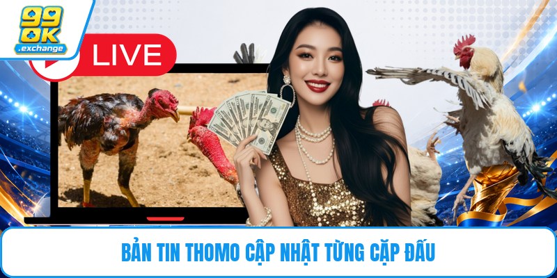 Bản tin Thomo cập nhật từng cặp đấu