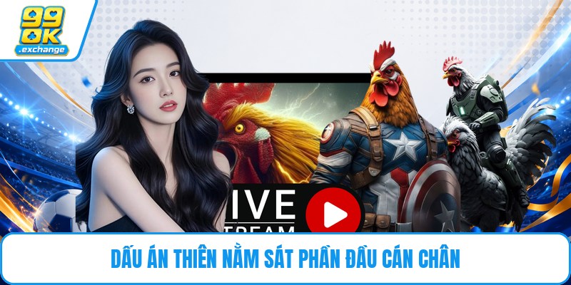Dấu án thiên nằm sát phần đầu cán chân