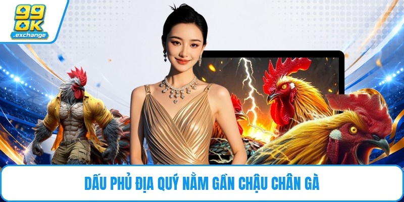 Dấu phủ địa quý nằm gần chậu chân gà