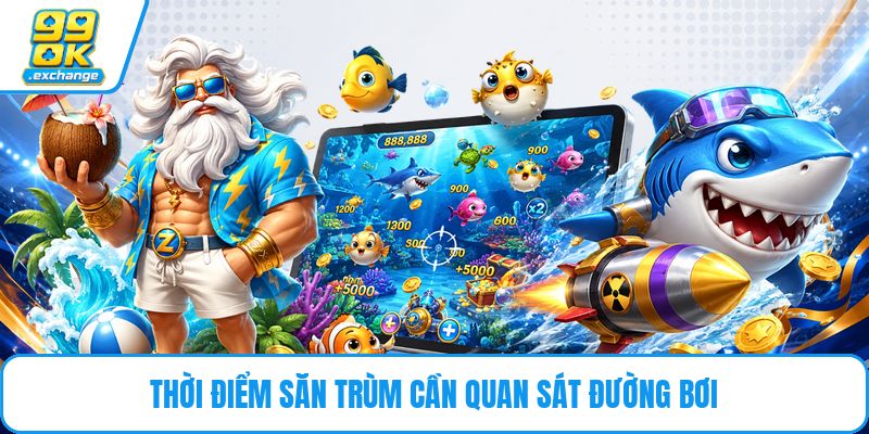 Thời điểm săn trùm cần quan sát đường bơi