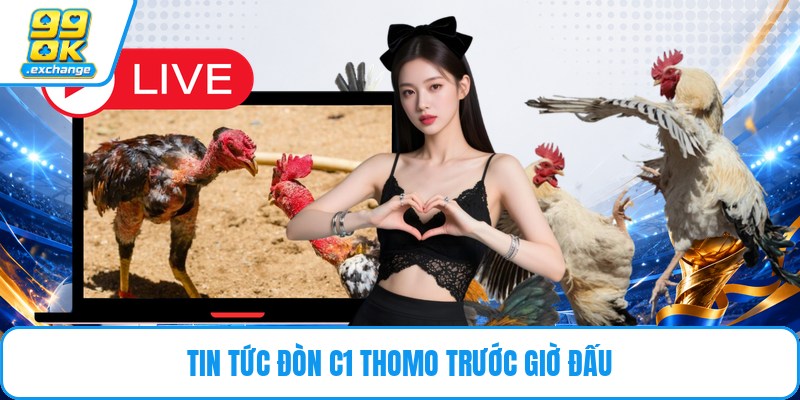 Tin tức đòn c1 thomo trước giờ đấu