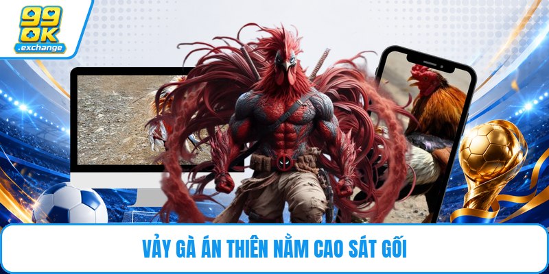Vảy gà án thiên nằm cao sát gối